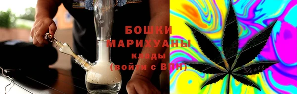 ешки Алексин