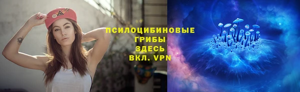 a pvp Алексеевка