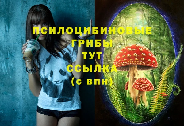 ешки Алексин