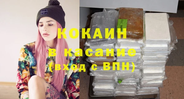 ешки Алексин