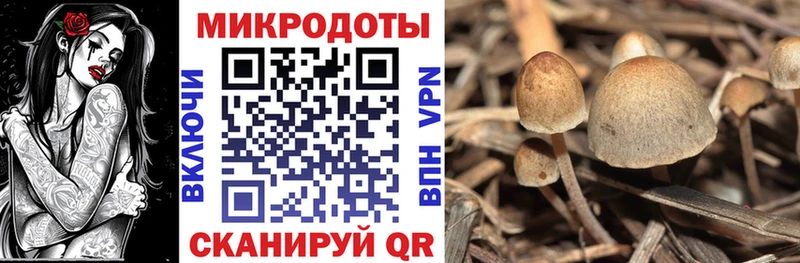 Галлюциногенные грибы Psilocybine cubensis  дарнет шоп  Данков 
